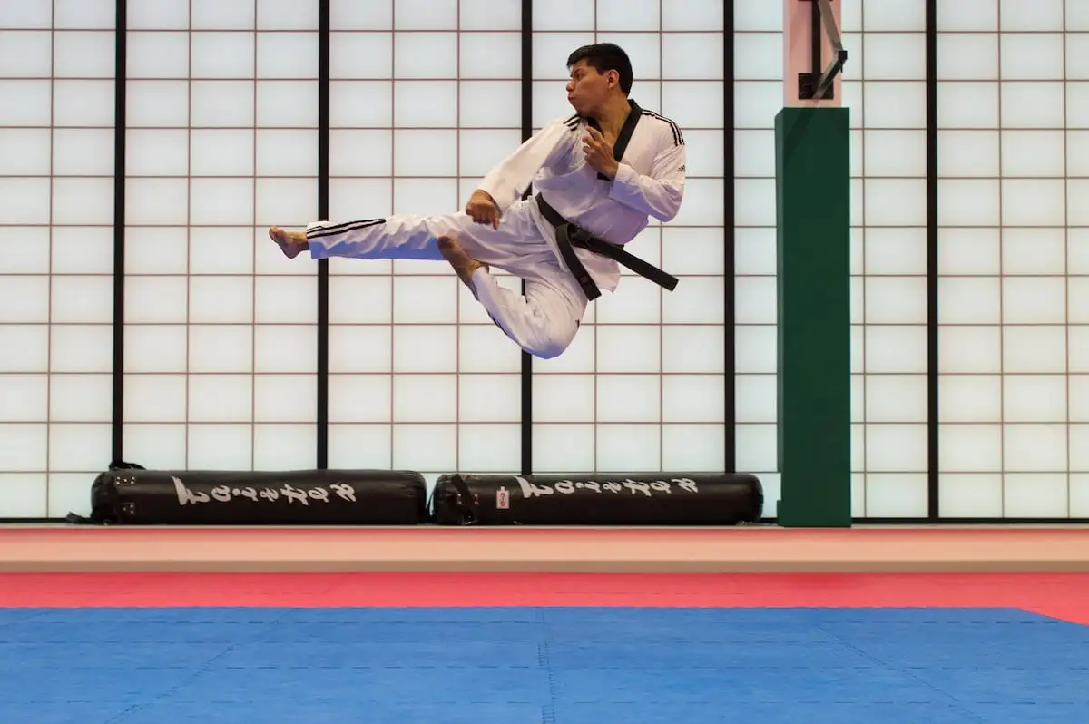 Karate Japanische Kampfkunst